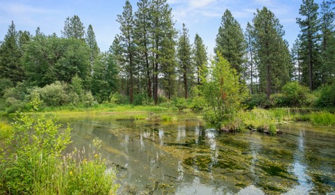 Creek on property for kayaking