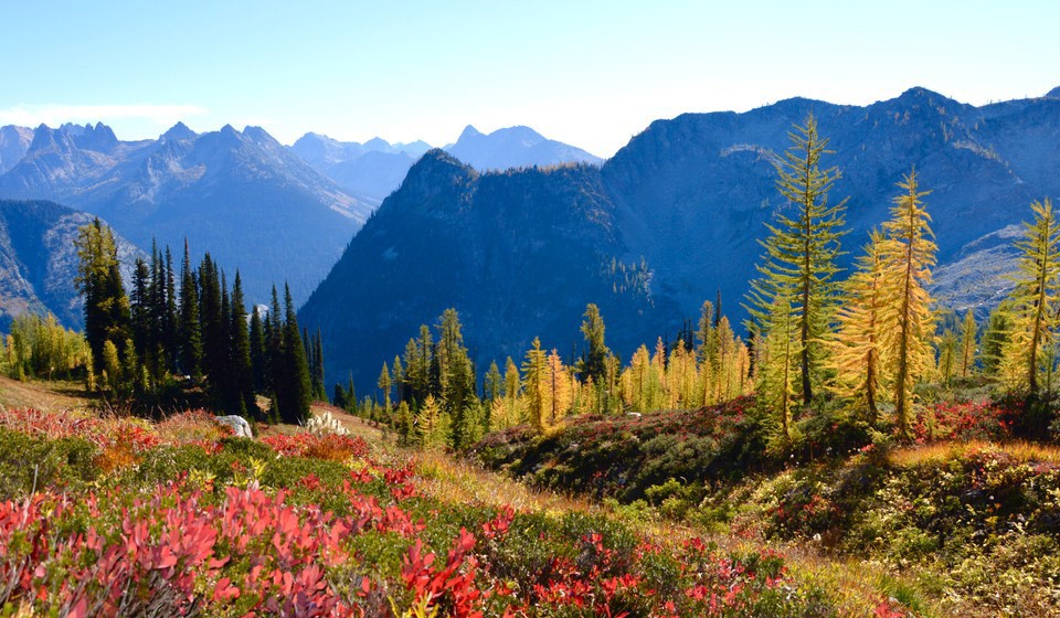 Fall colors and larches among the mountains, on a hike in the North Cascades National Park
