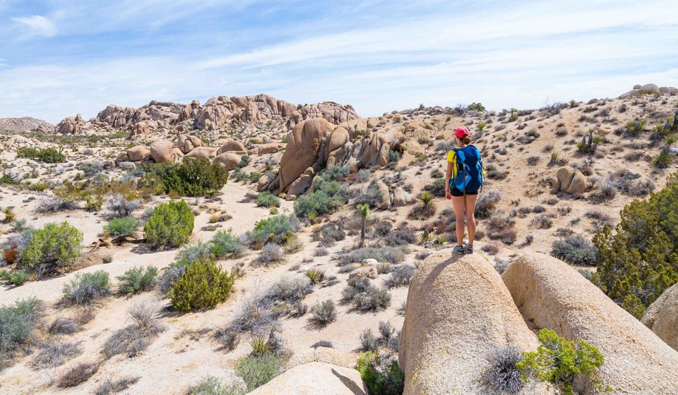 Hiking is one of the best things to do in Joshua Tree National Park. 