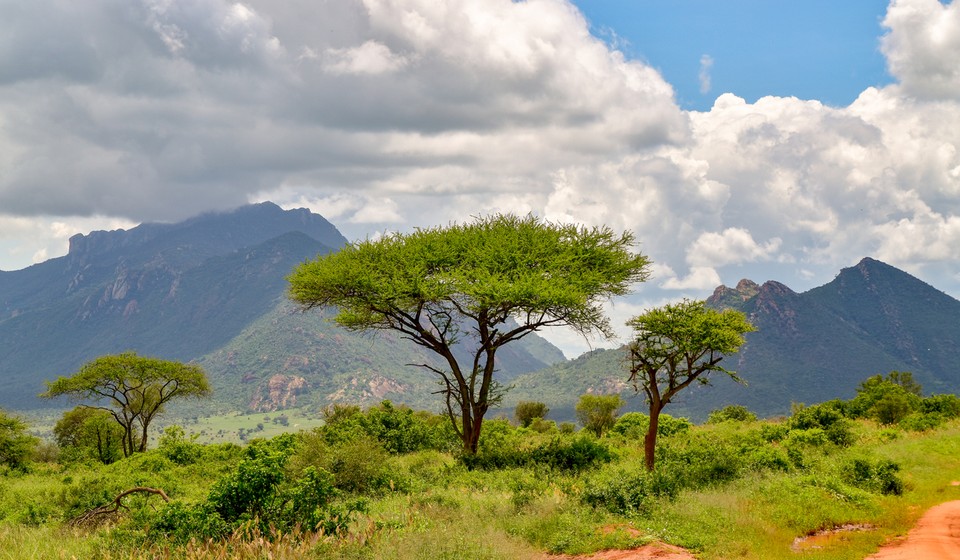 Queen Elizabeth National Park