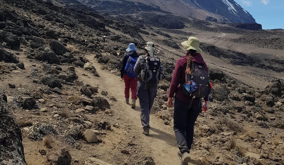 Trekkers on the Kilimanjaro Trail.