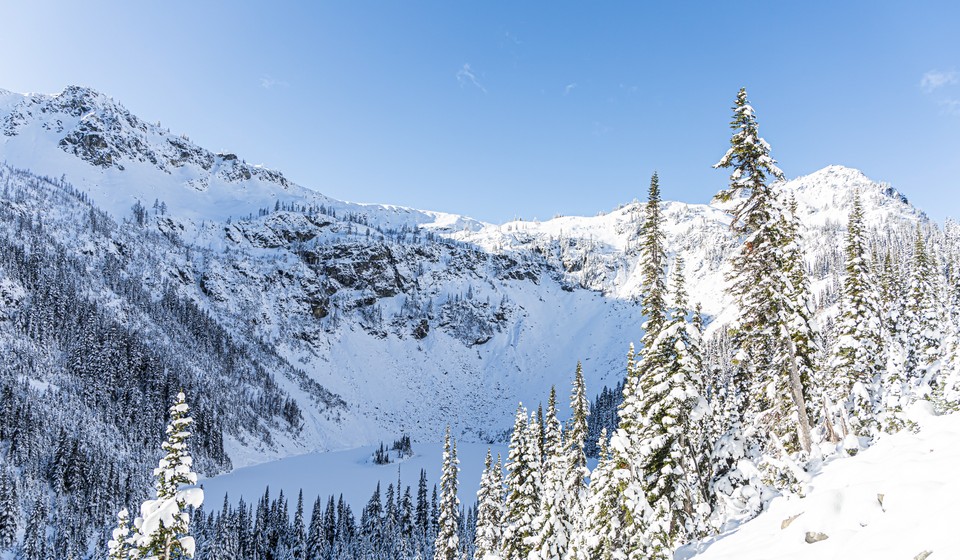 Snowy trees and mountains in the North Cascades. 