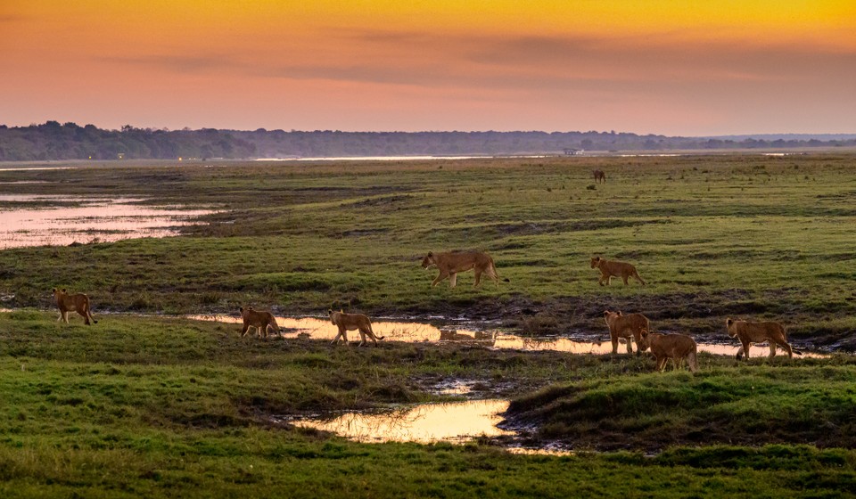 Okavango Delta