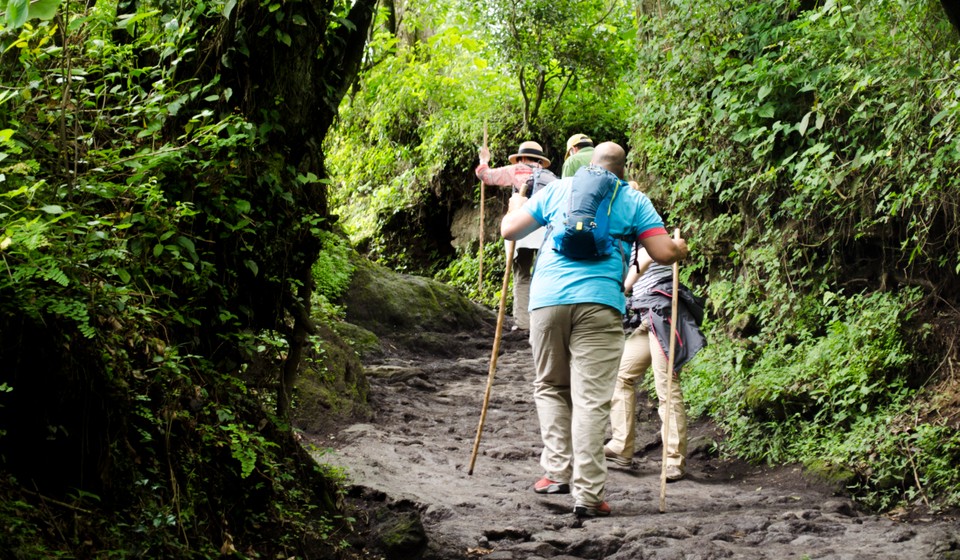 Pacaya Hike