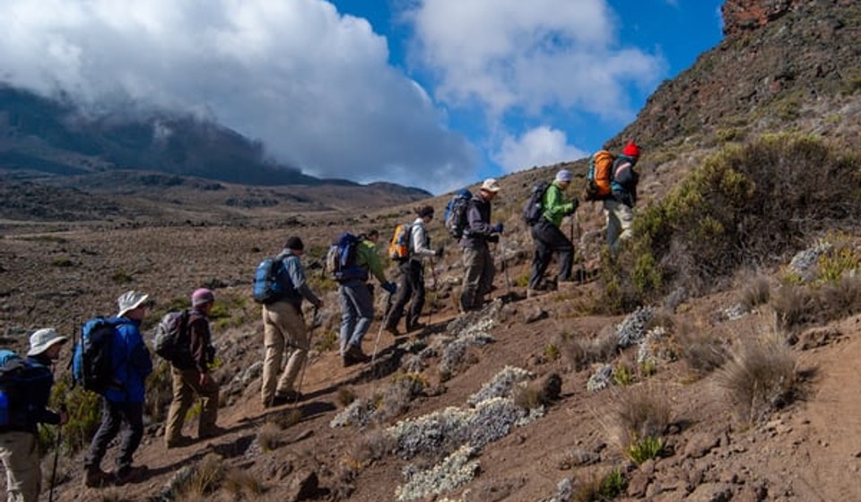 trekkers climbing mt kilimanjaro