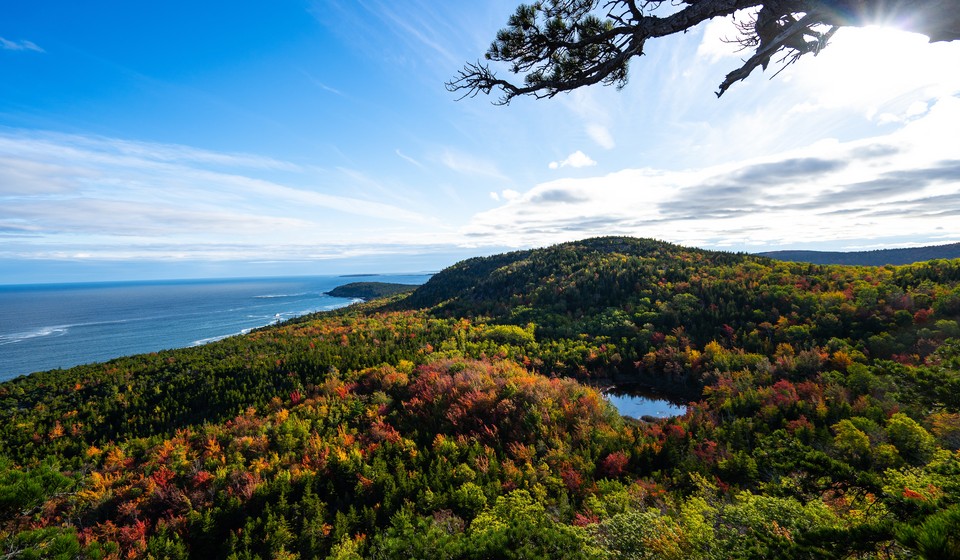 Acadia National Park fall foliage. 