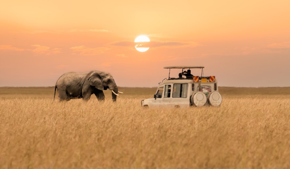 Sunset and Elephant in Maasai Mara