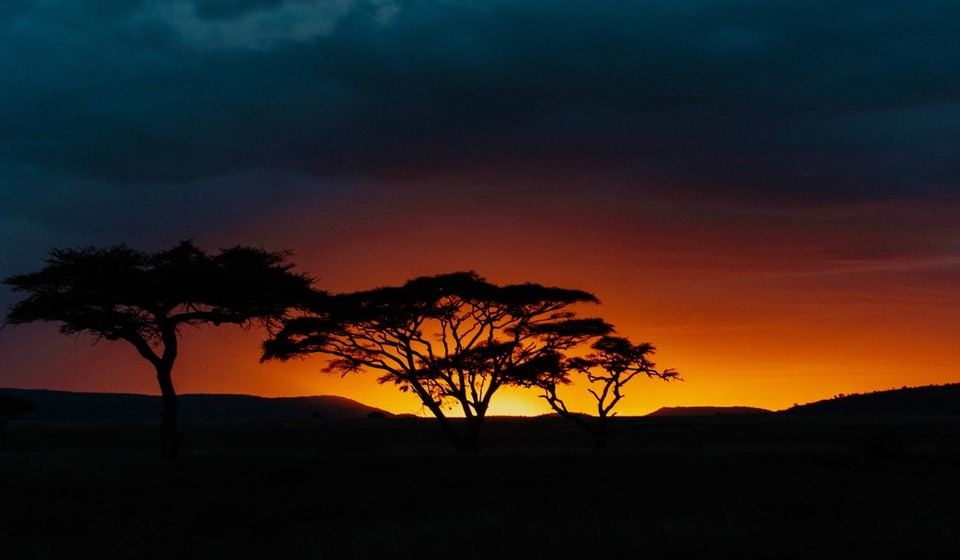 african safari sunset 