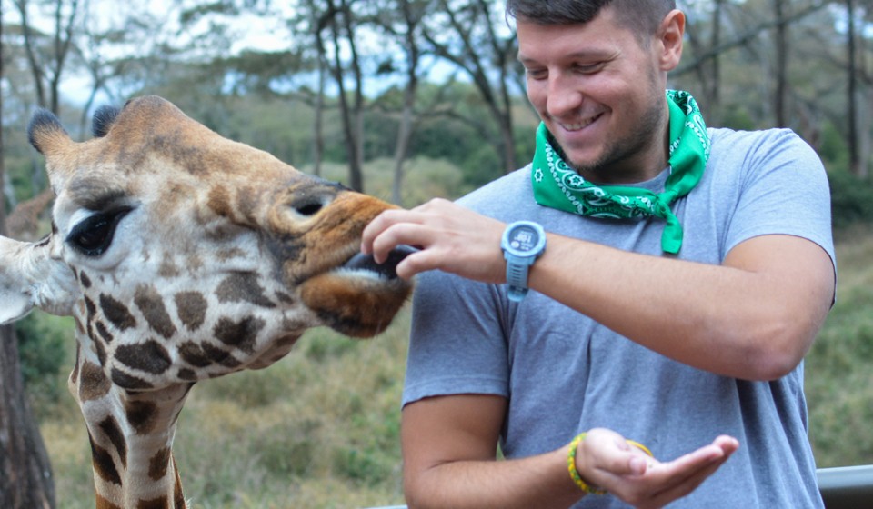 Feeding Giraffes at the giraffe Center