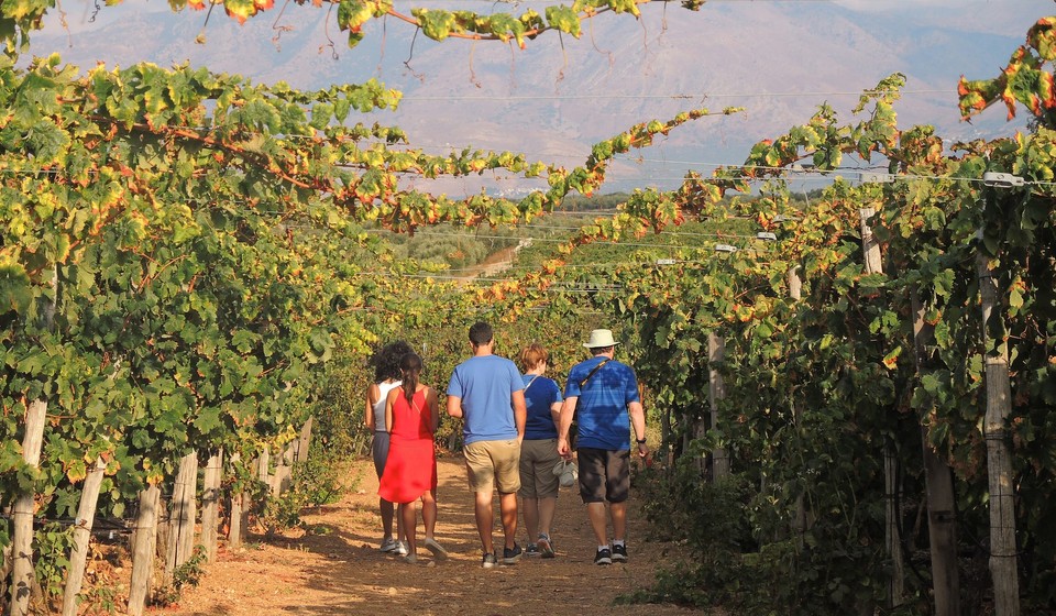 Farm to Table culinary experience in Crete