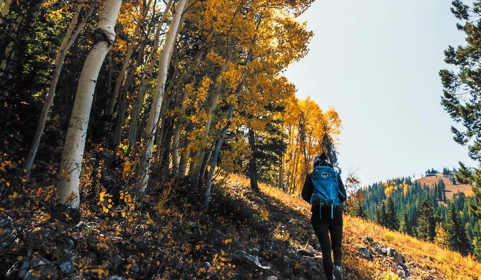 Fall hike in Aspen, Colorado. 