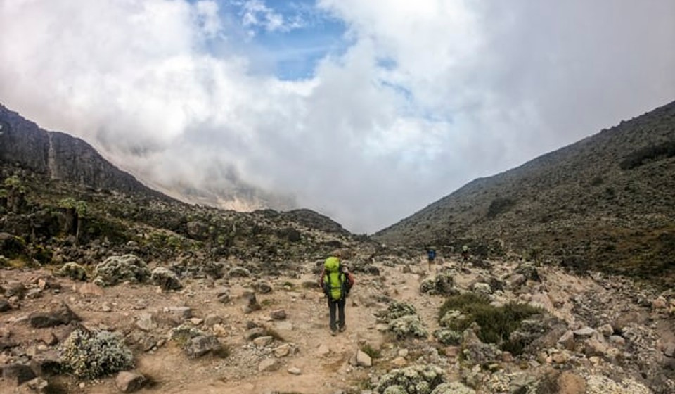 trekker on the mt kilimanjaro hike