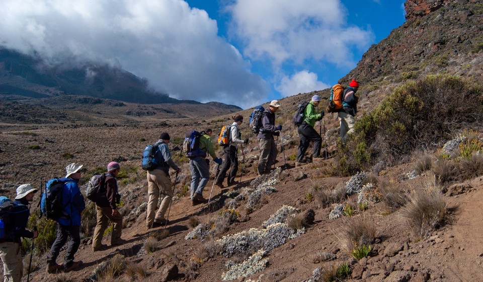 Trekkers climbing mt kilimanjaro