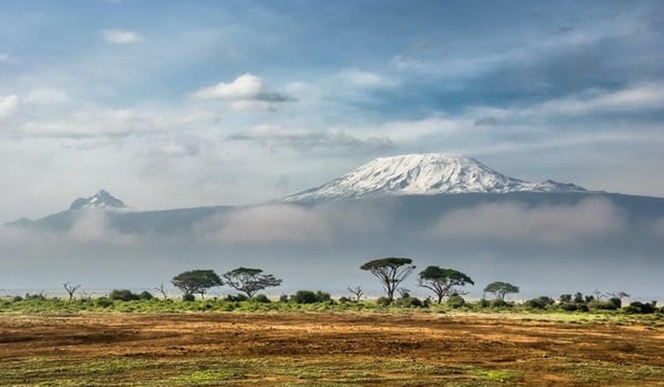 Mt. Kilimanjaro and masai trees in foreground